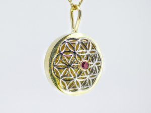 Pakabukas Gyvybes gelele Nr.24